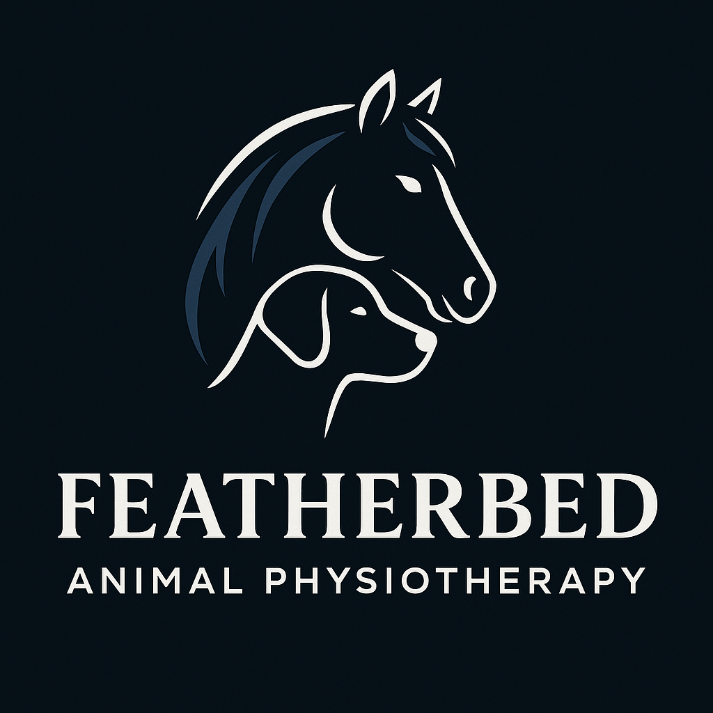 Featherbed Animal Physiotherapy